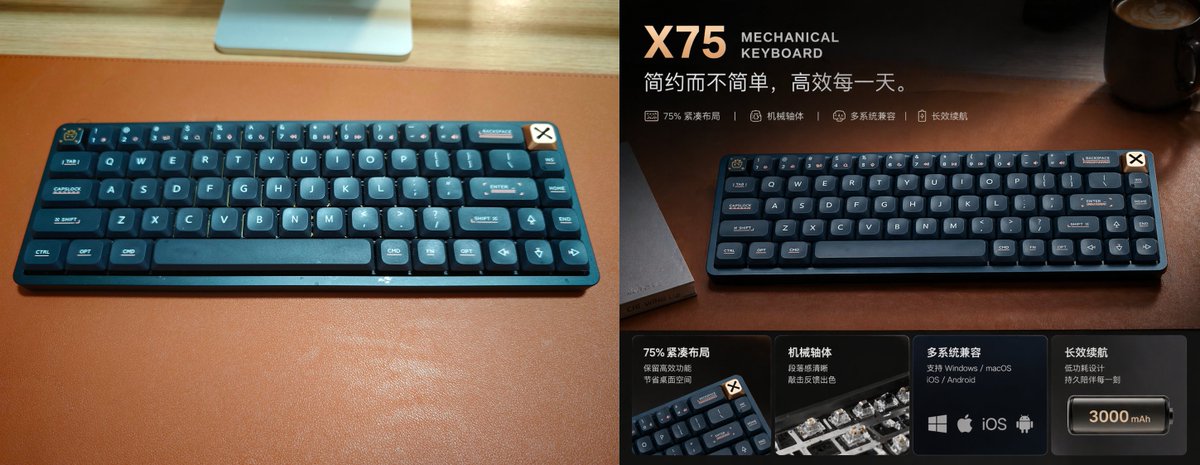 Mechanical Keyboard Split Poster