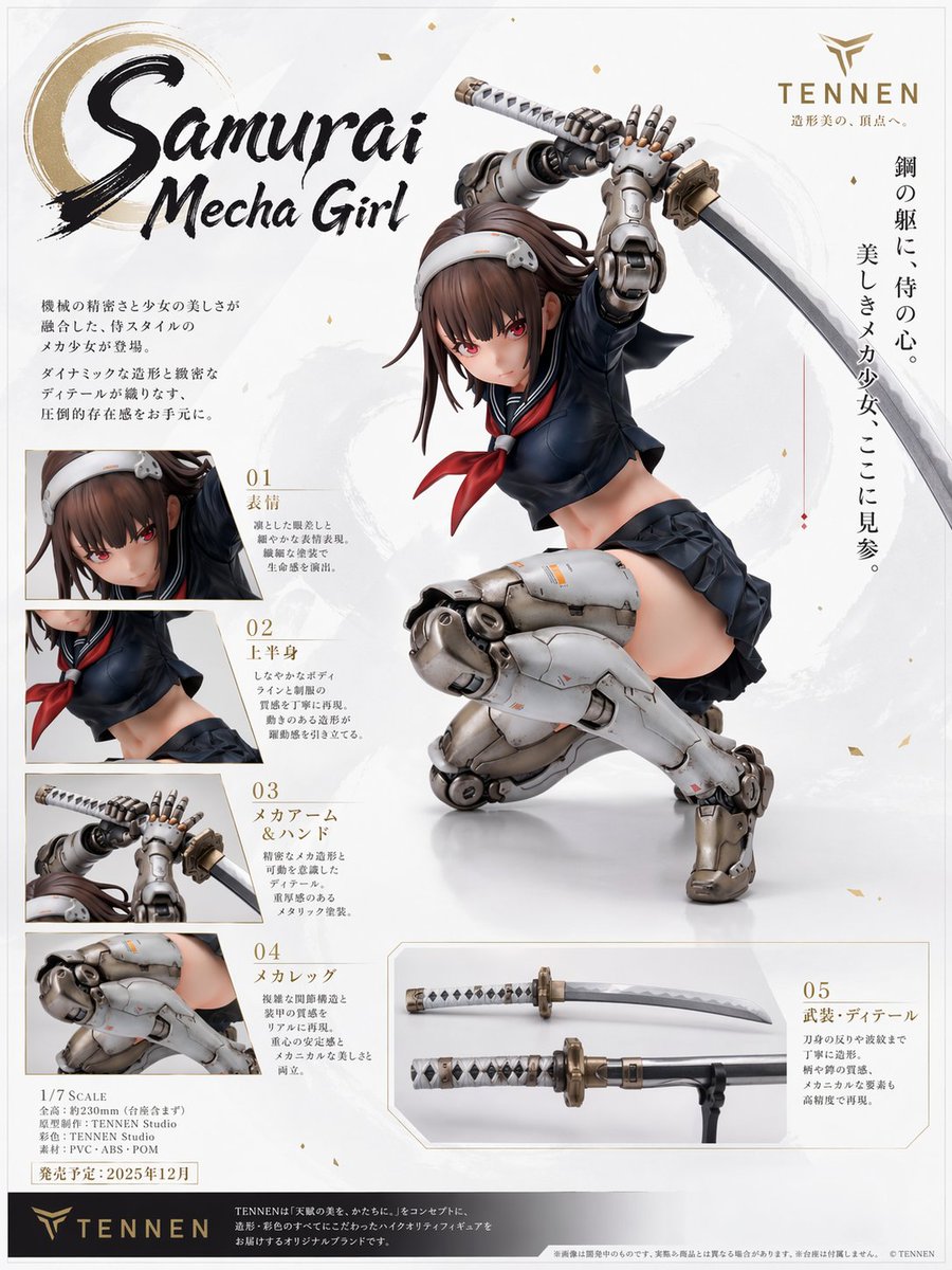Samurai Mecha Girl Poster